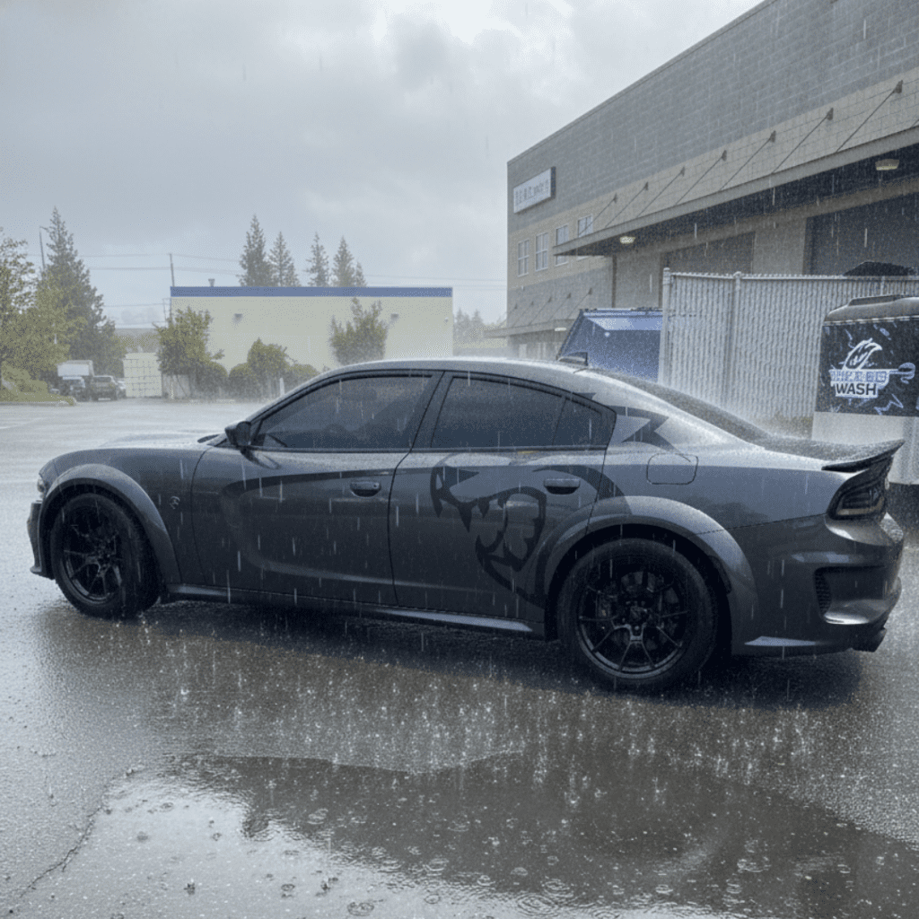 Key Winter Wrap Care Takeaways (Seattle)