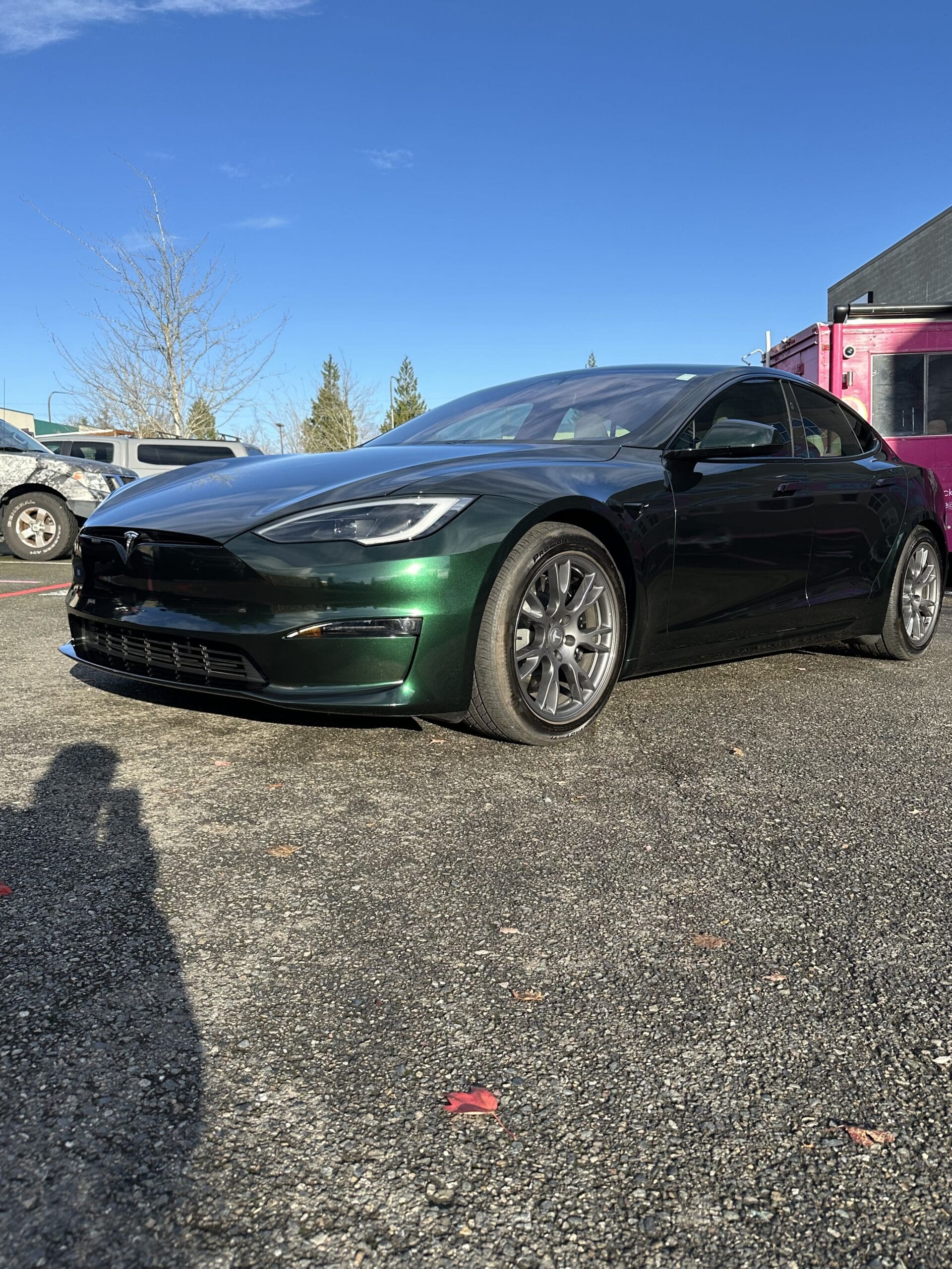 Tesla Chrome Green